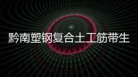 黔南塑鋼復合土工筋帶生產廠家