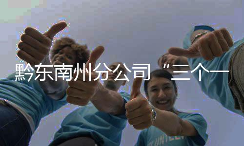 黔東南州分公司“三個一”督導法推進主題教育