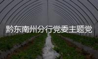 黔東南州分行黨委主題黨日活動獻愛心