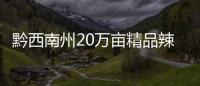 黔西南州20萬畝精品辣椒助推農業產業扶貧