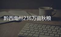 黔西南州236萬畝秋糧顆粒歸倉