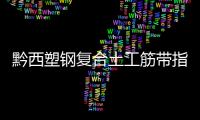 黔西塑鋼復合土工筋帶指標