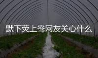默下熒上鴦網友關心什么?