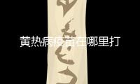 黃熱病疫苗在哪里打