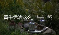 黃牛憑啥這么“牛” 終有“黃”了的時(shí)候 記者在演唱會現(xiàn)場親見有人被抓