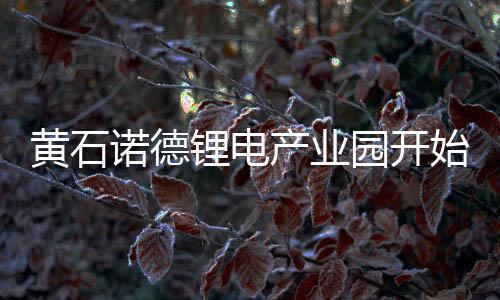 黃石諾德鋰電產業園開始試產