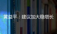 黃益平：建議加大穩增長政策力度｜快訊