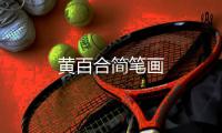 黃百合簡(jiǎn)筆畫