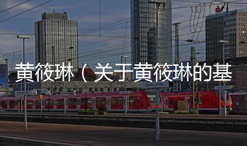 黃筱琳（關(guān)于黃筱琳的基本情況說明介紹）