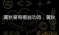黃秋葵有哪些功效，黃秋葵有哪些作用