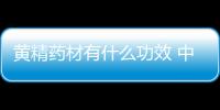 黃精藥材有什么功效 中藥黃精的作用