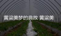 黃粱美夢的典故 黃粱美夢的故事
