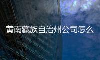 黃南藏族自治州公司怎么往國外打錢