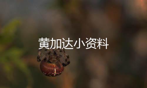 黃加達小資料