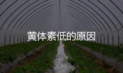 黃體素低的原因
