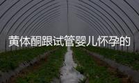 黃體酮跟試管嬰兒懷孕的關系大揭秘！不懂怎么行？