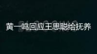 黃一鳴回應王思聰給撫養費和一套房 真相何在？引發熱議
