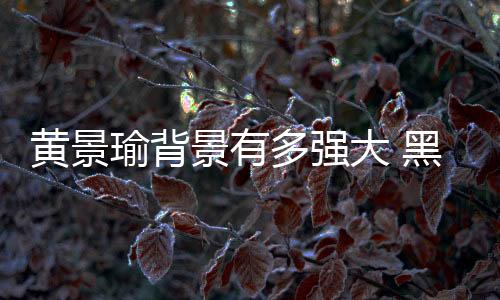 黃景瑜背景有多強大 黑料滿身的他事業(yè)仍未受影響