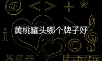 黃桃罐頭哪個牌子好