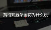 黃梅戲五朵金花為什么沒有韓再芬（黃梅戲五朵金花）