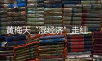 黃梅天“濕經濟”走紅  揭產品背后的安全隱患