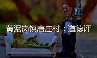 黃泥崗鎮(zhèn)唐莊村：道德評議會引領文明新風_
