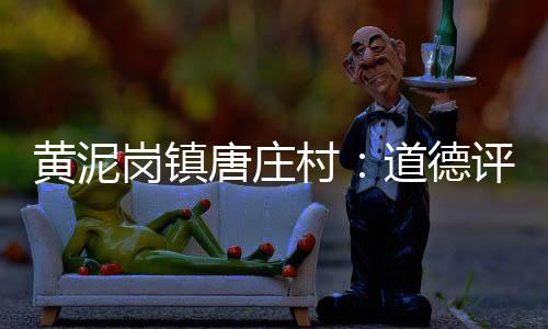 黃泥崗鎮唐莊村：道德評議會引領文明新風_