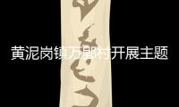 黃泥崗鎮萬郢村開展主題宣傳教育活動_