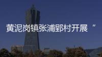 黃泥崗鎮張浦郢村開展“珍惜糧食，厲行節約”宣傳教育活動_