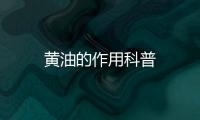 黃油的作用科普