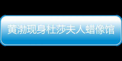 黃渤現身杜莎夫人蠟像館 與蠟像合影竟真假難分！