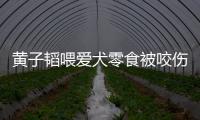 黃子韜喂愛犬零食被咬傷 排隊打狂犬疫苗直喊累