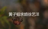 黃子韜求婚徐藝洋