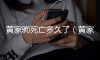黃家駒死亡多久了（黃家駒死后多少人自殺）