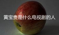 黃寶貴是什么電視劇的人物