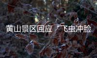 黃山景區(qū)回應(yīng)“飛蟲沖臉”：將采取措施降低螞蟻群飛對(duì)旅游體驗(yàn)的影響