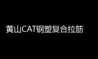 黃山CAT鋼塑復合拉筋帶規格齊全