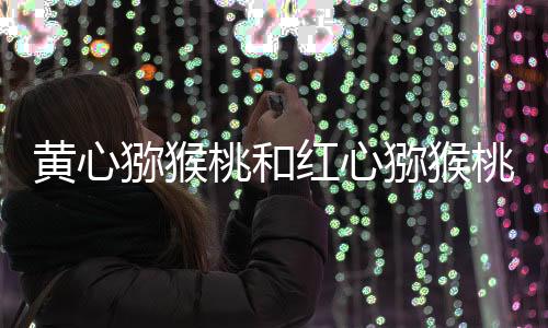 黃心獼猴桃和紅心獼猴桃的區(qū)別
