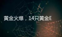 黃金火爆，14只黃金ETF規模大增、漲幅超26% 投資者熱情高漲