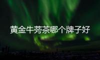 黃金牛蒡茶哪個牌子好