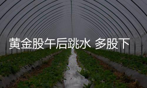 黃金股午后跳水 多股下挫