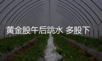 黃金股午后跳水 多股下挫
