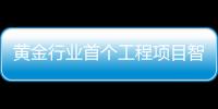 黃金行業(yè)首個工程項目智慧審計數(shù)字化平臺