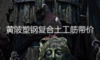 黃陂塑鋼復合土工筋帶價格
