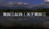 黃腳三趾鶉（關(guān)于黃腳三趾鶉的基本情況說明介紹）