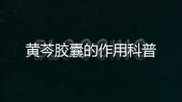 黃芩膠囊的作用科普