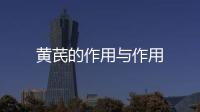 黃芪的作用與作用
