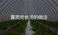 黃芪黨參湯的做法