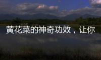 黃花菜的神奇功效，讓你煥發青春活力！