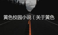 黃色校園小說（關于黃色校園小說的基本情況說明介紹）